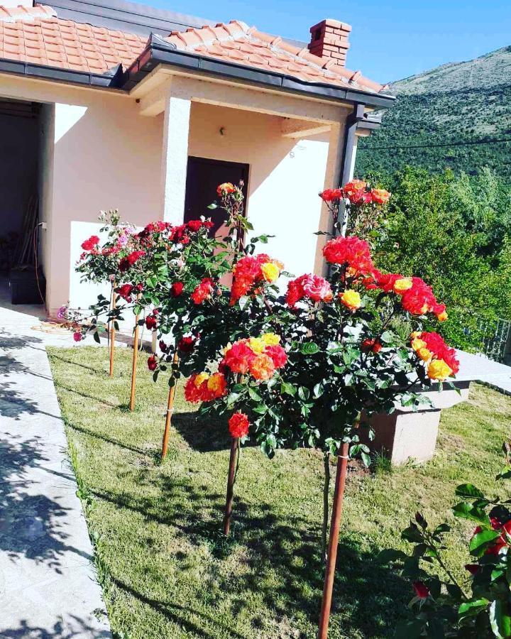 Hotel River Side Trebinje Extérieur photo