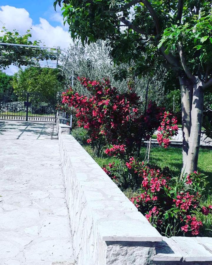Hotel River Side Trebinje Extérieur photo