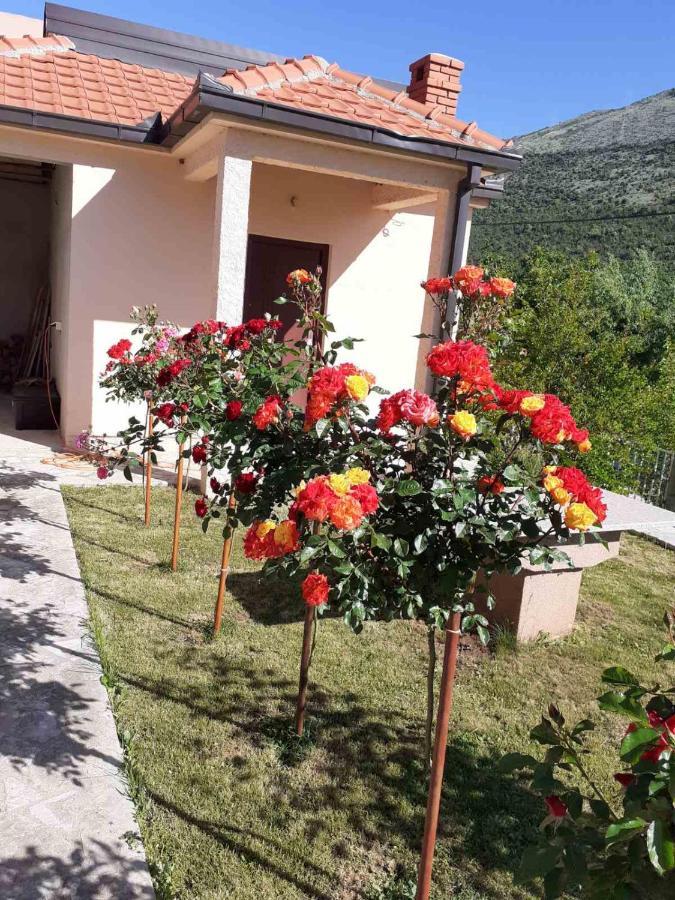 Hotel River Side Trebinje Extérieur photo